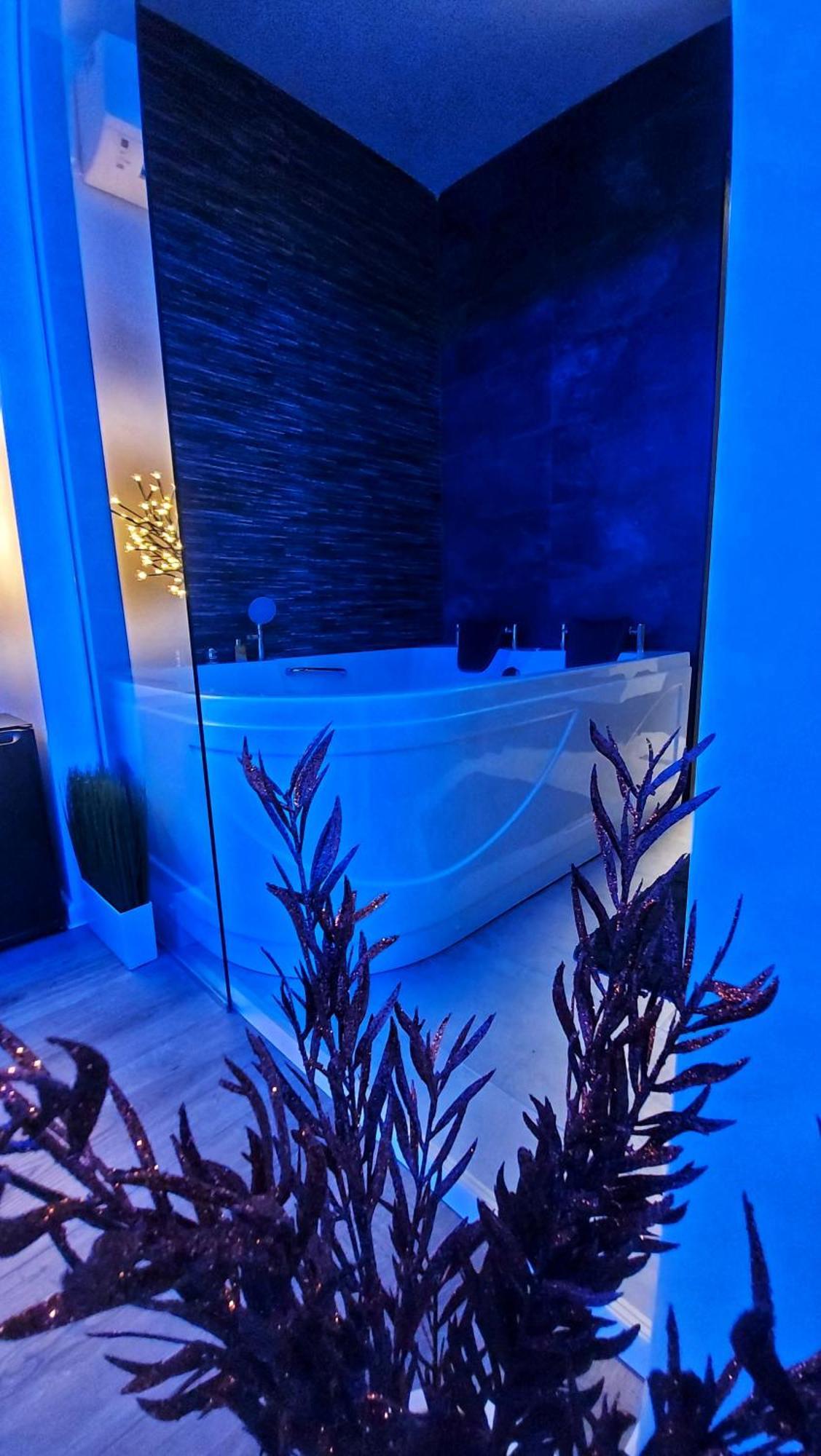 Stars Lux Room Belgrad Rum bild